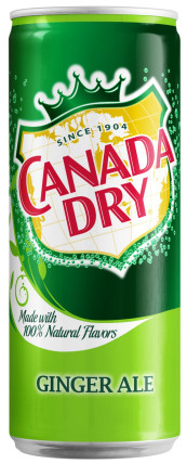 schweppes canada dry ginger ale 24*330ml